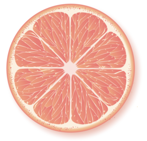 Sabine DELHAYE de MAULDE Paris 12, Professionnel indépendant