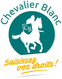 Chevalier Blanc Paris 8, Professionnel indépendant