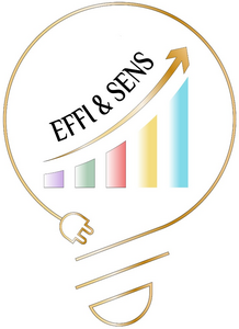 Djamila Bereksi Roissy-en-Brie, Professionnel indépendant