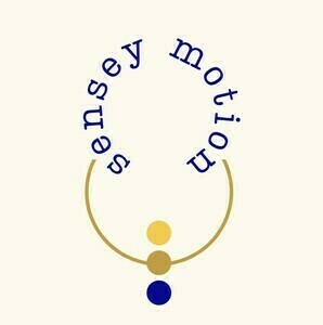 Vanessa Chicheportiche Bailly, Professionnel indépendant