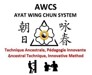 Ayat Wing Chun System Sannois, Professionnel indépendant
