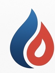 Ent Gayet Ollainville, Professionnel indépendant